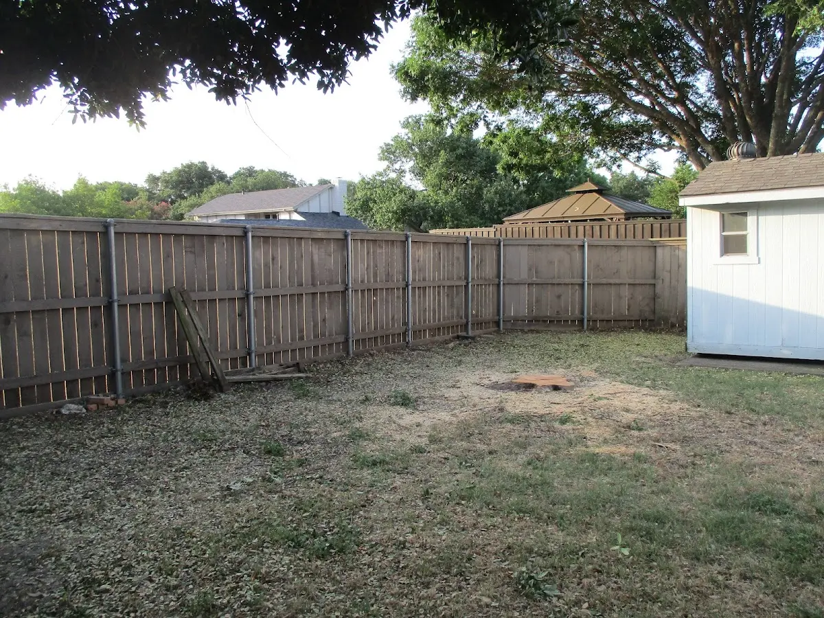 Cleared yard after professional tree removal in Corona