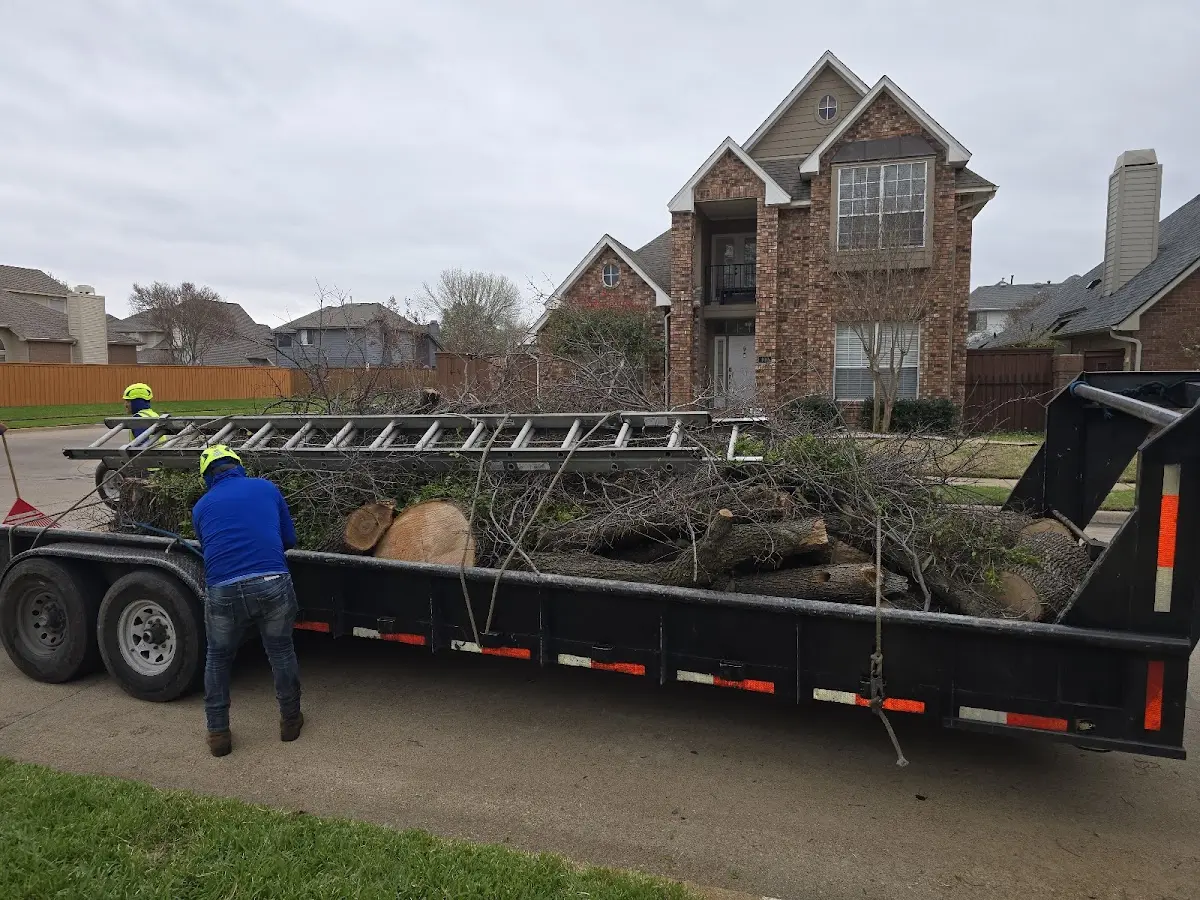 Expert Lot Clearing with proper safety equipment in Corona